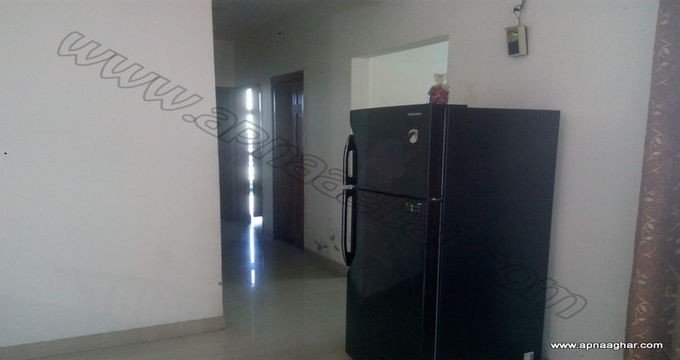 3 BHK 1450 sq ft |Flat |Independent House|Kharar | Mohali | Chandigarh| Punjab | Zirakpur| Apnaaghar.com | 9781191177