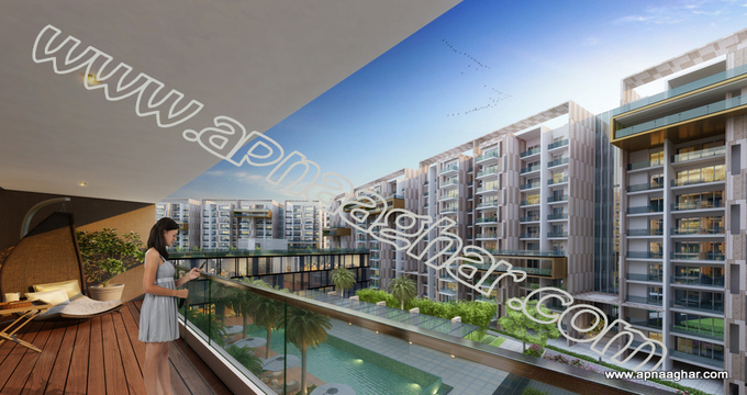 3BHK 2010 sq ft  |Flat|Mohali | Chandigarh| Punjab | Zirakpur| Apnaaghar.com | 9781191177