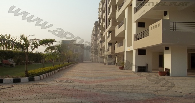 3 BHK 1880 sq ft  |Flat | Mohali | Chandigarh| Punjab | Zirakpur| Apnaaghar.com | 9781191177