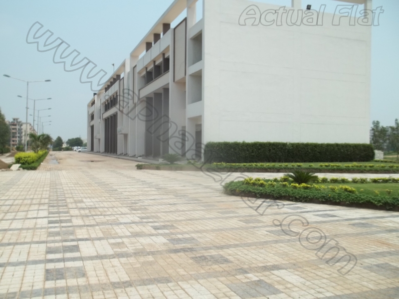 3 BHK 1650 Sq ft 7th floor of S+11 | Zirakpur Patiala Highway | Zirakpur | Punjab | Apnaaghar.com