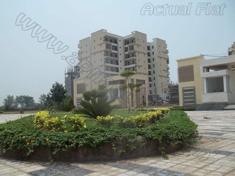 3 BHK 1650 Sq ft 4th floor of S+11 | Zirakpur Patiala Highway | Zirakpur | Punjab | Apnaa Ghar