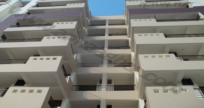 3 BHK 1880 sq ft  |Flat | Mohali | Chandigarh| Punjab | Zirakpur| Apnaaghar.com | 9781191177