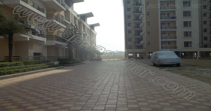 3 BHK 1650 sq ft  |Flat|Kharar | Mohali | Chandigarh| Punjab | Zirakpur| Apnaaghar.com | 9781191177