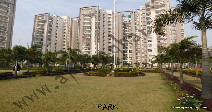 3+2 BHK 2920 sq ft| Pent House |Flat |Independent House|Derabassi|Kharar | Mohali | Chandigarh| Punjab | Zirakpur| apnaaghar.com | 9781191177